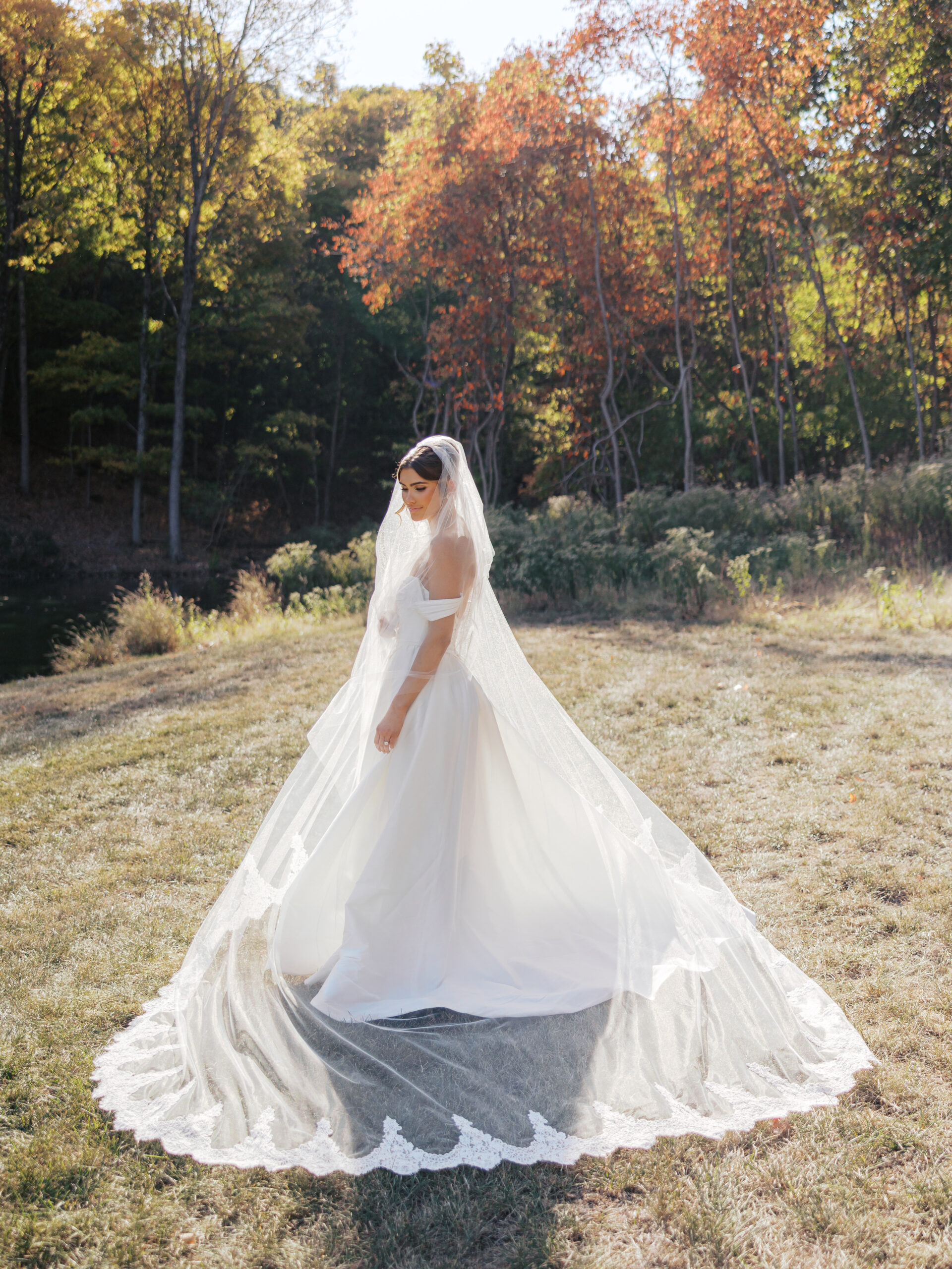 Luxury wedding veil