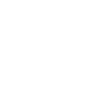 toni Federici veils