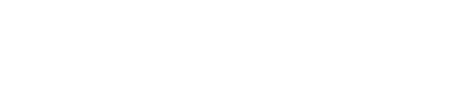 TONI-FEDERICI-white-logo-with-transparent-background copy