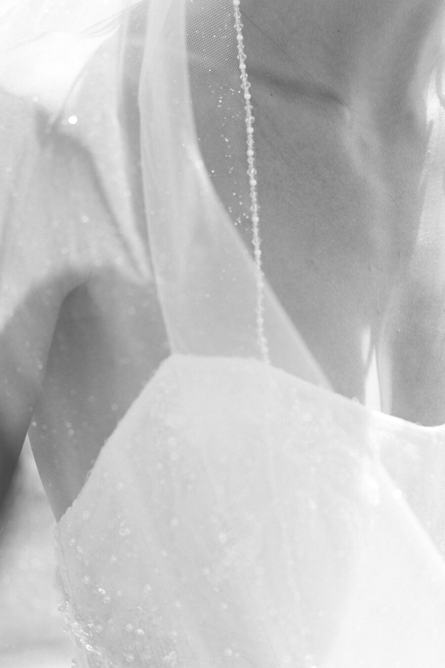 fed_0001_DREAM-GIRL-3